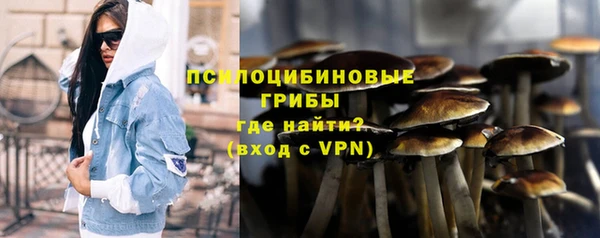 меф Няндома