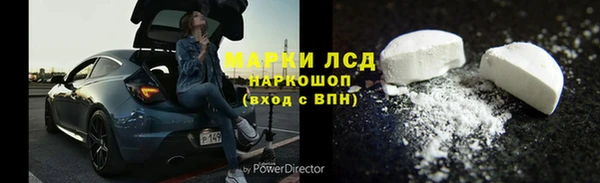 эйфоретик Магас