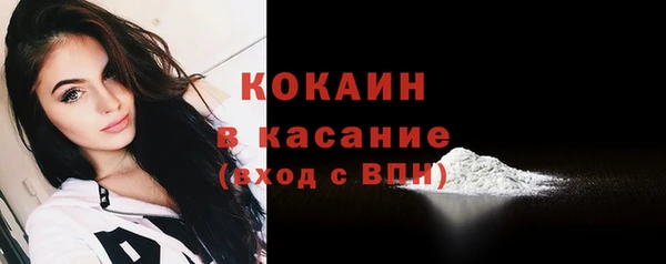 меф Няндома