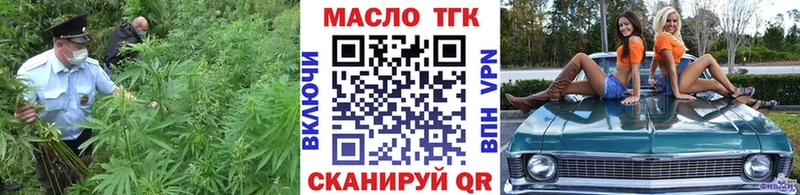 цены Светлогорск ТГК концентрат